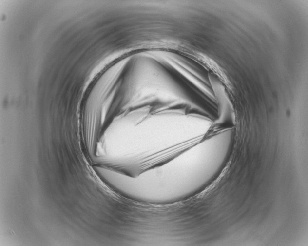 X0000085291184200704092224