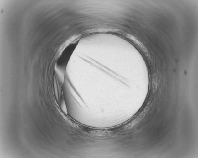 X0000085291185200704092224