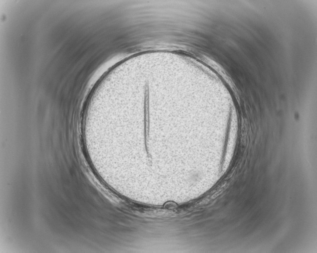 X0000085291187200704092224