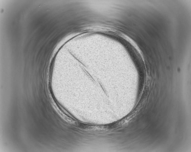 X0000085291195200704092224