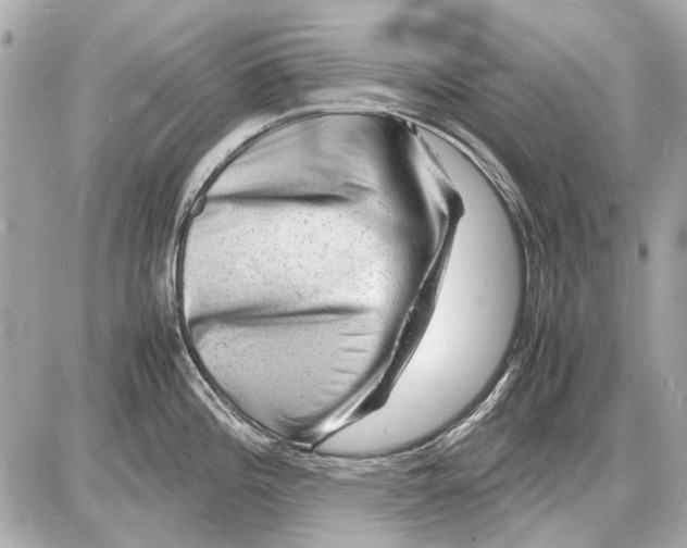 X0000085291196200704092224