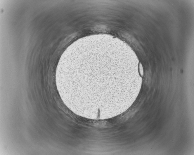 X0000085291201200704092223
