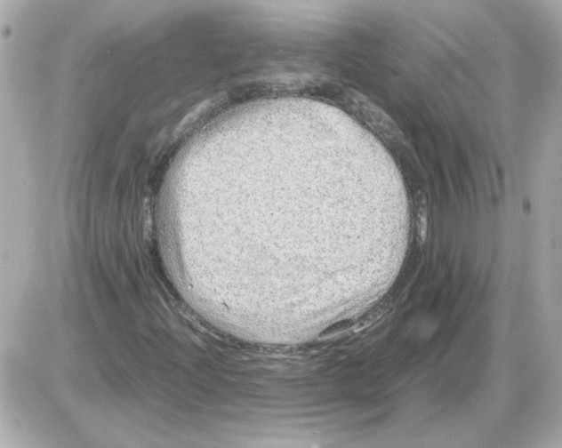 X0000085291204200704092223