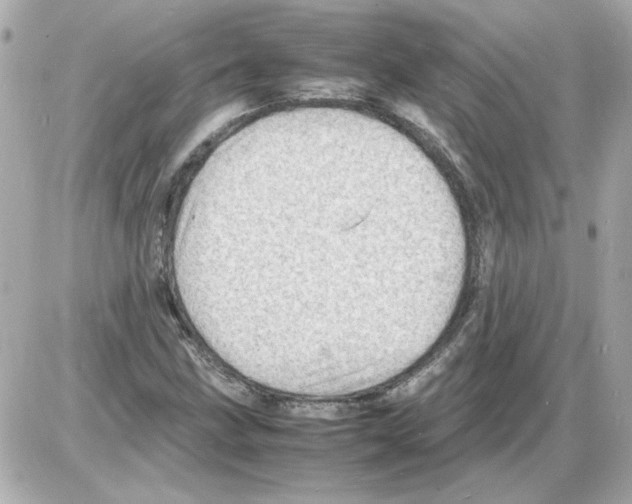 X0000085291211200704092223