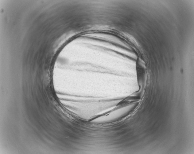 X0000085291212200704092223