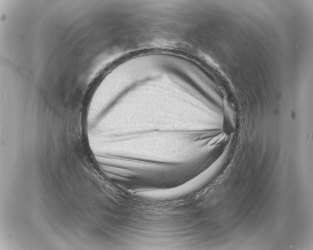 X0000085291214200704092223