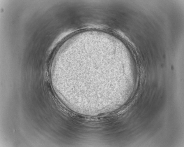X0000085291215200704092223