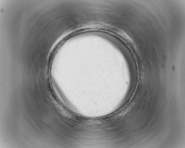 X0000085291216200704092223