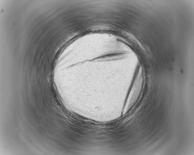 X0000085291217200704092223