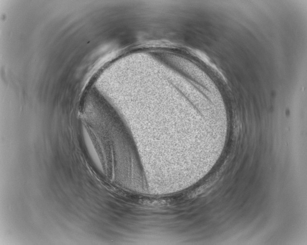 X0000085291221200704092223
