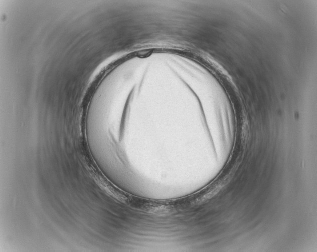 X0000085291222200704092223
