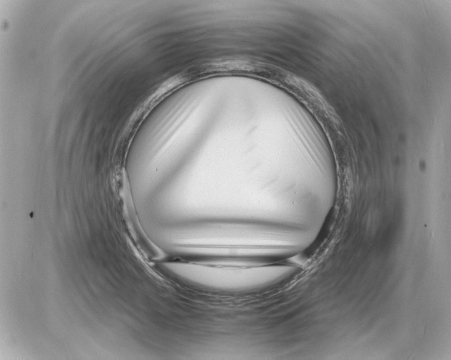 X0000085291225200704092224