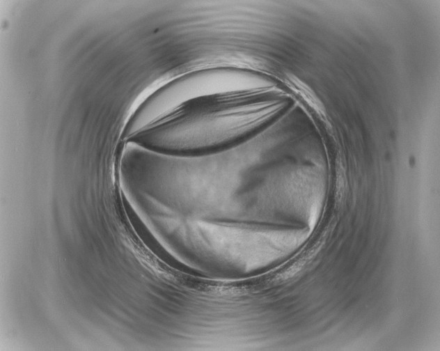 X0000085291226200704092224