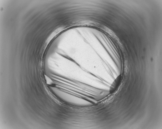 X0000085291234200704092224