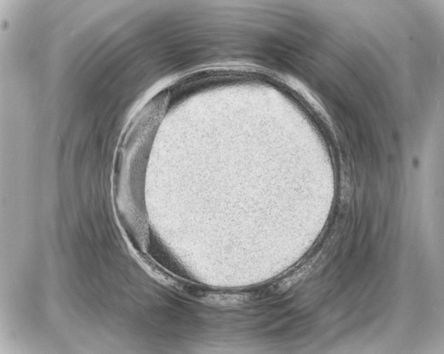 X0000085291237200704092224