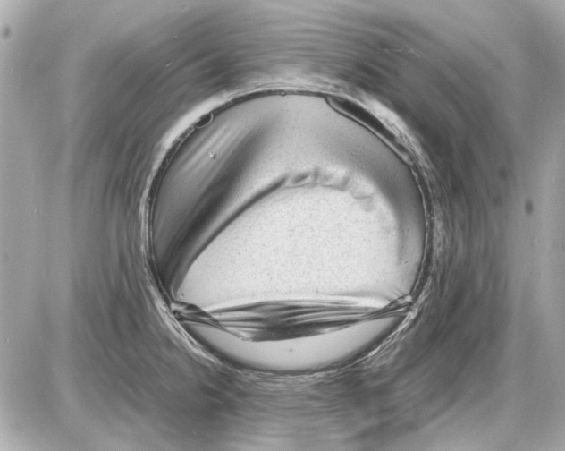 X0000085291238200704092224