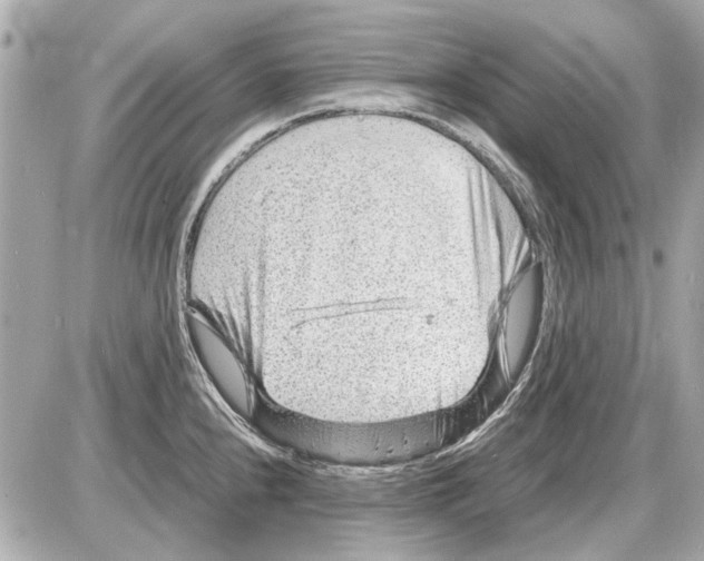 X0000085291240200704092224