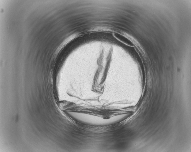 X0000085291241200704092224