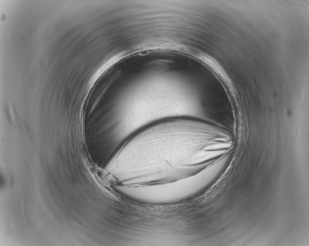 X0000085291242200704092224