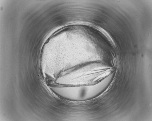 X0000085291244200704092224
