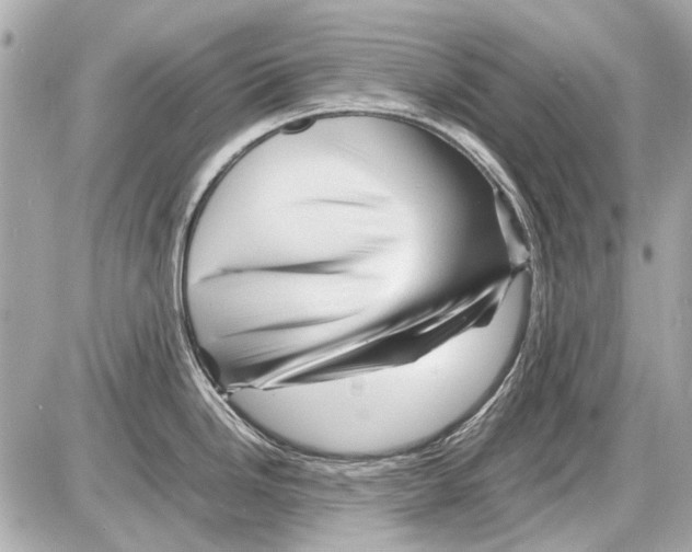 X0000085291246200704092224