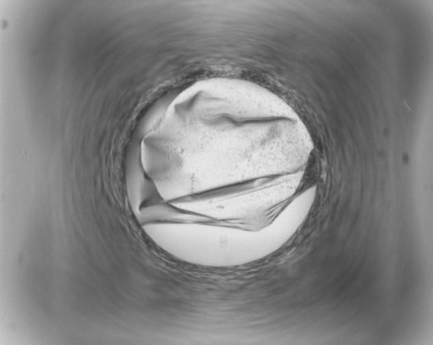 X0000085291249200704092223