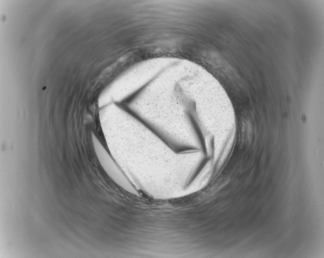 X0000085291250200704092223