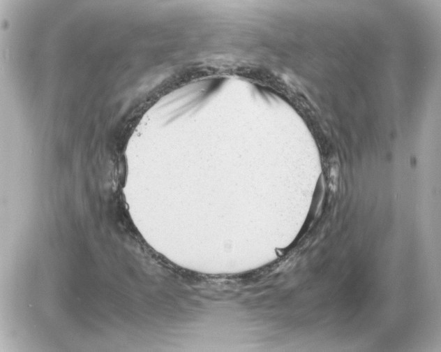 X0000085291253200704092223
