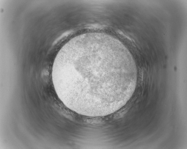X0000085291254200704092223