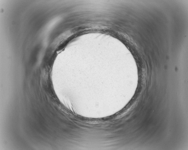 X0000085291257200704092223