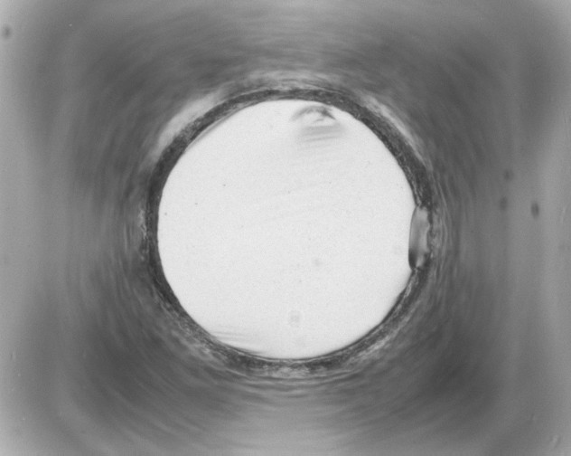 X0000085291261200704092223