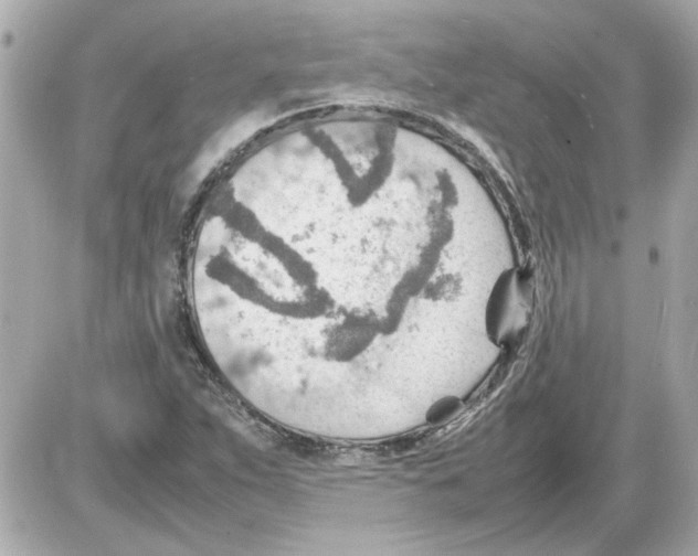 X0000085291263200704092223