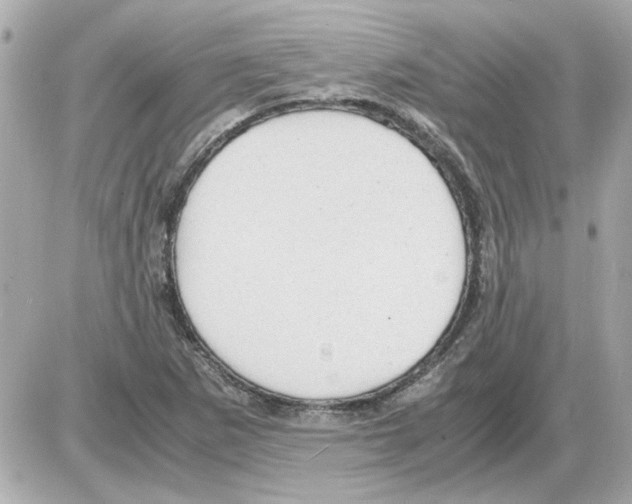 X0000085291265200704092223