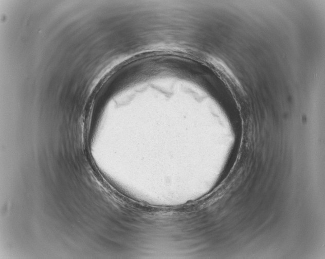 X0000085291268200704092223
