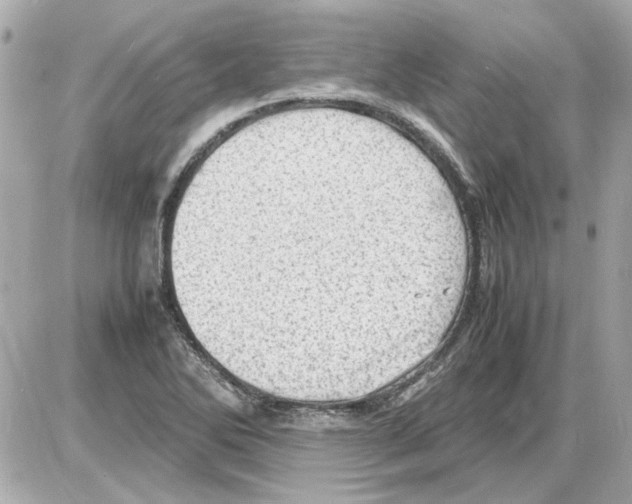 X0000085291270200704092223