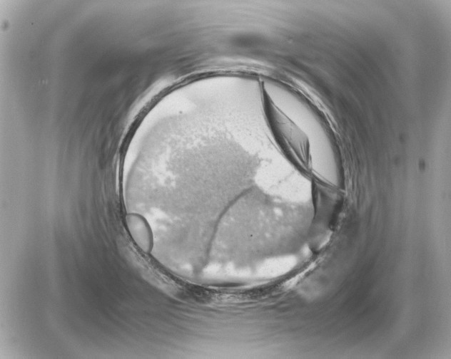 X0000085291275200704092223