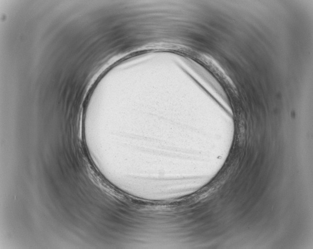 X0000085291276200704092223