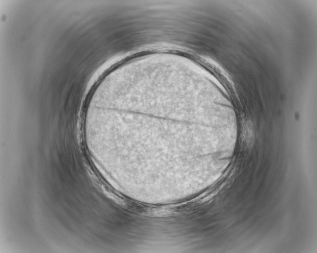 X0000085291278200704092223
