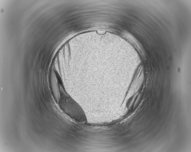X0000085291284200704092222