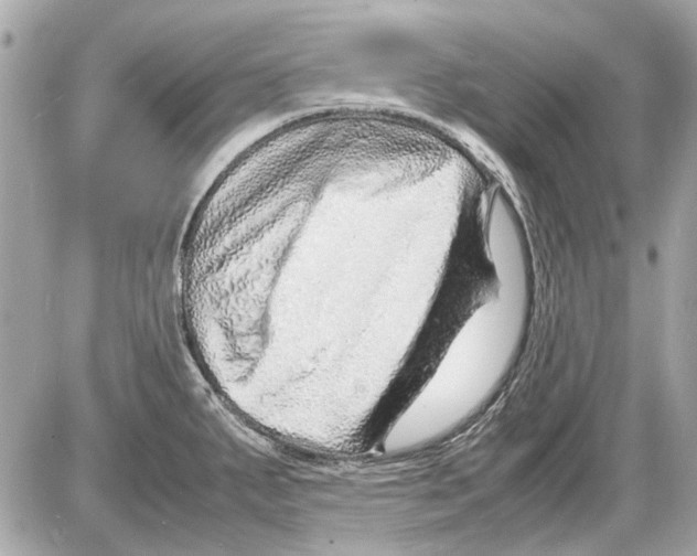 X0000085291287200704092222