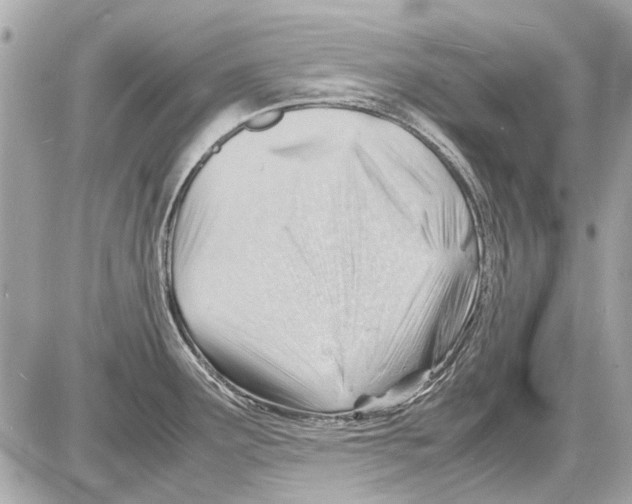 X0000085291291200704092222
