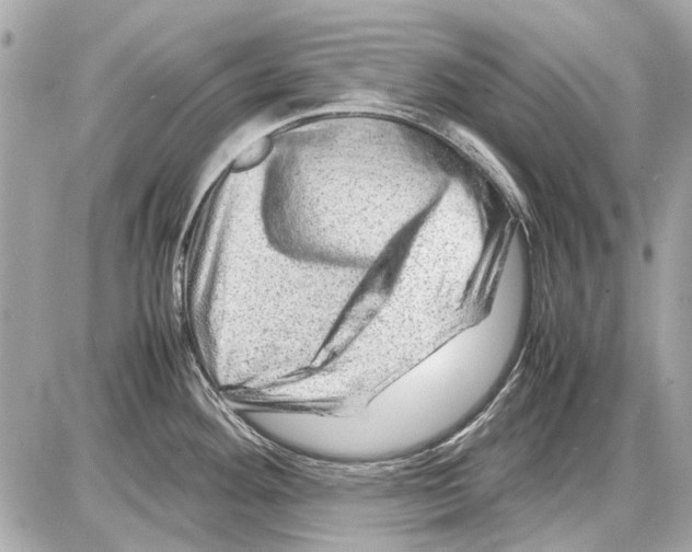 X0000085291292200704092222