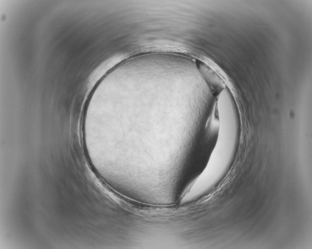 X0000085291293200704092222