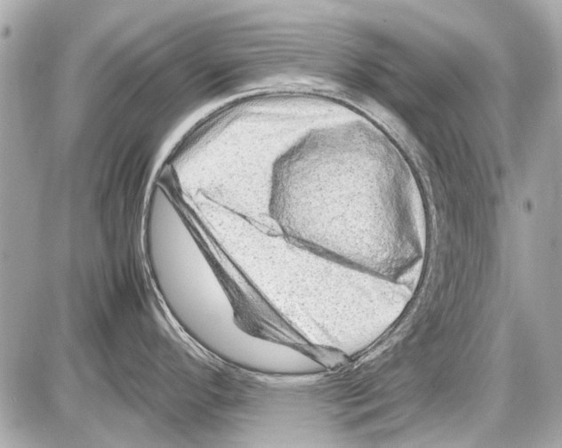 X0000085291296200704092222