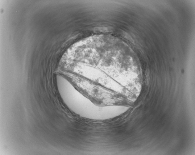 X0000085291297200704092221
