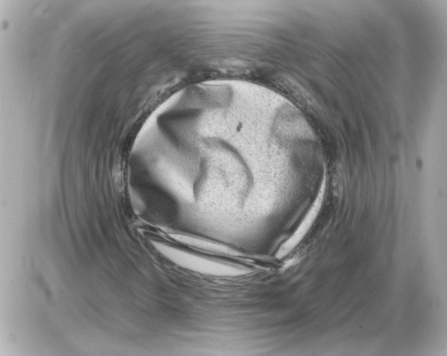 X0000085291298200704092221