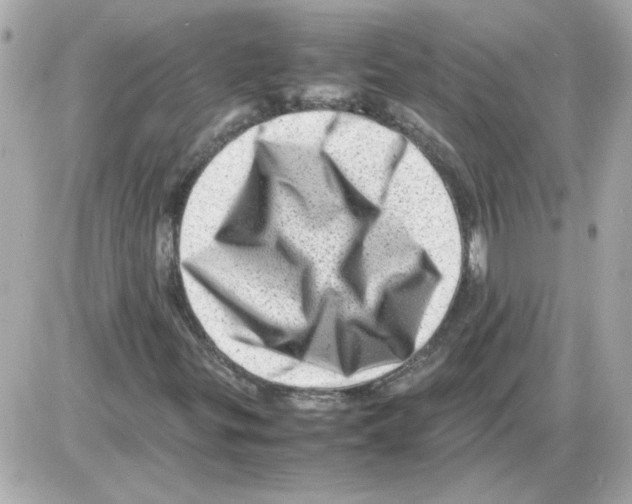 X0000085291299200704092221