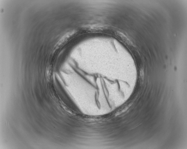 X0000085291300200704092222