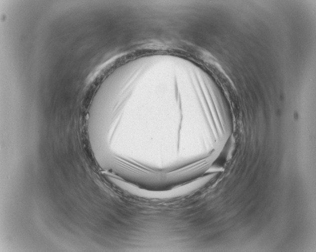 X0000085291304200704092222