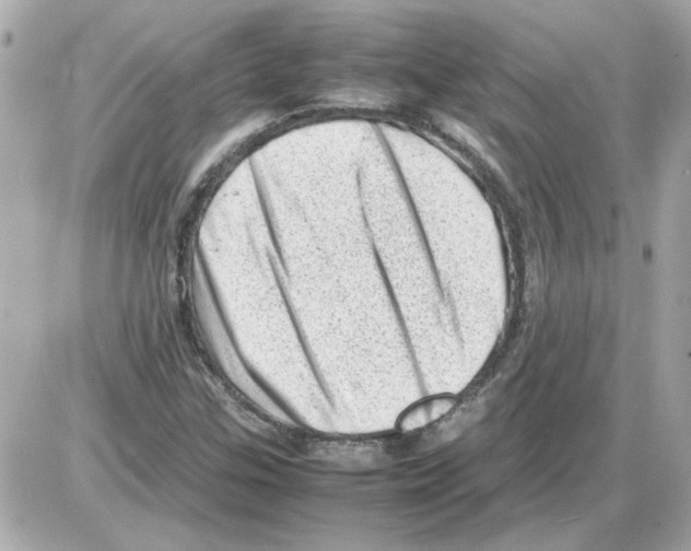 X0000085291307200704092222
